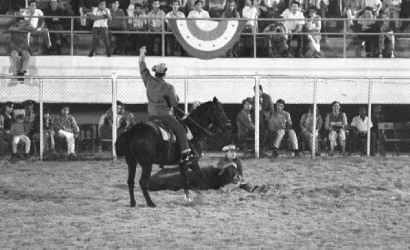 In der Nationalen Rodeo-Arena in Havanna werden regelmäßig Reitwettbewerbe, Clownsaufführungen und Bullen-Zureiten präsentiert.