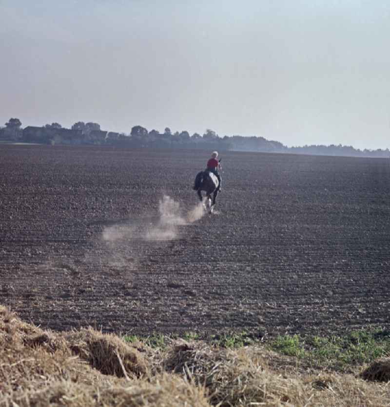 Horse and rider during filming of 'Portrait of a Center Point' on the main street in Horka, Saxony in the territory of the former GDR, German Democratic Republic