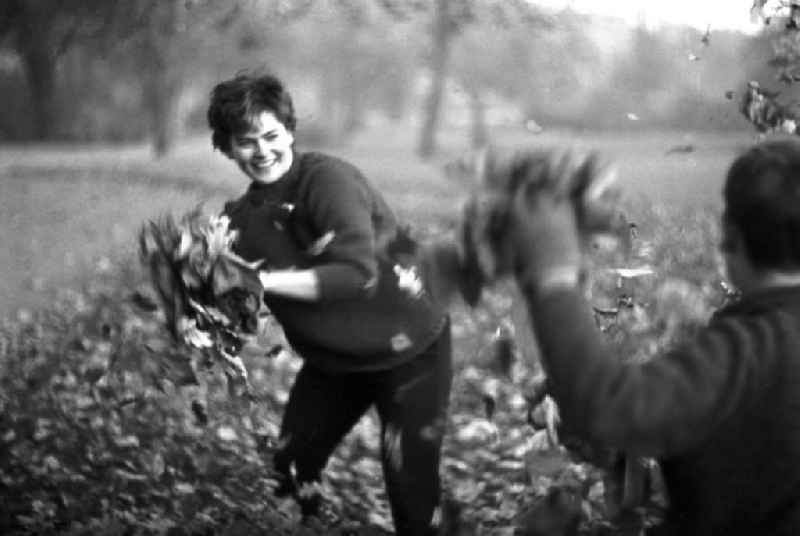 Eine Laubschlacht macht diesen Kindern und jungen Frauen den Herbst zum Vergnügen.