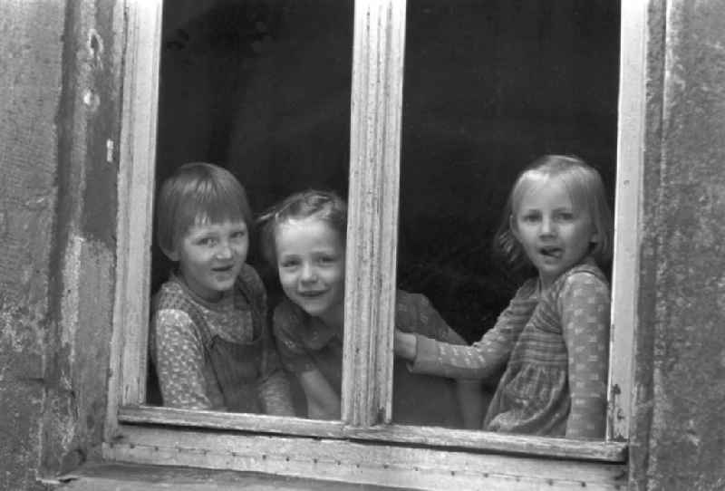 Drei Mädchen schauen neugierig aus dem Fenster eines Altbaus in Leipzig.