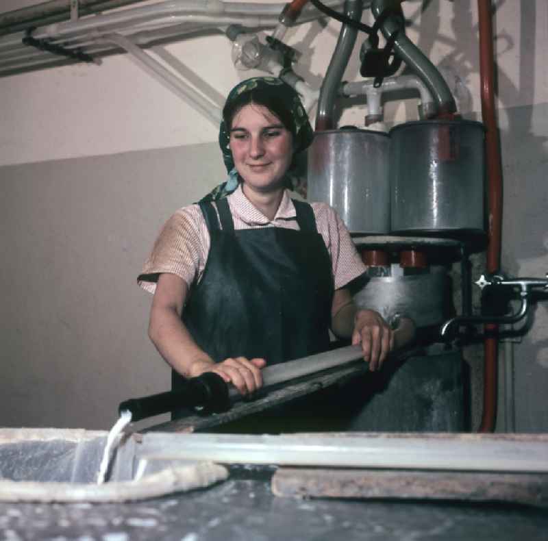 A young woman at a machine for milk production in a farm of an agricultural production cooperative on Dorfstrasse in the district of Schoenfliess in Muehlenbecker Land, Brandenburg in the territory of the former GDR, German Democratic Republic