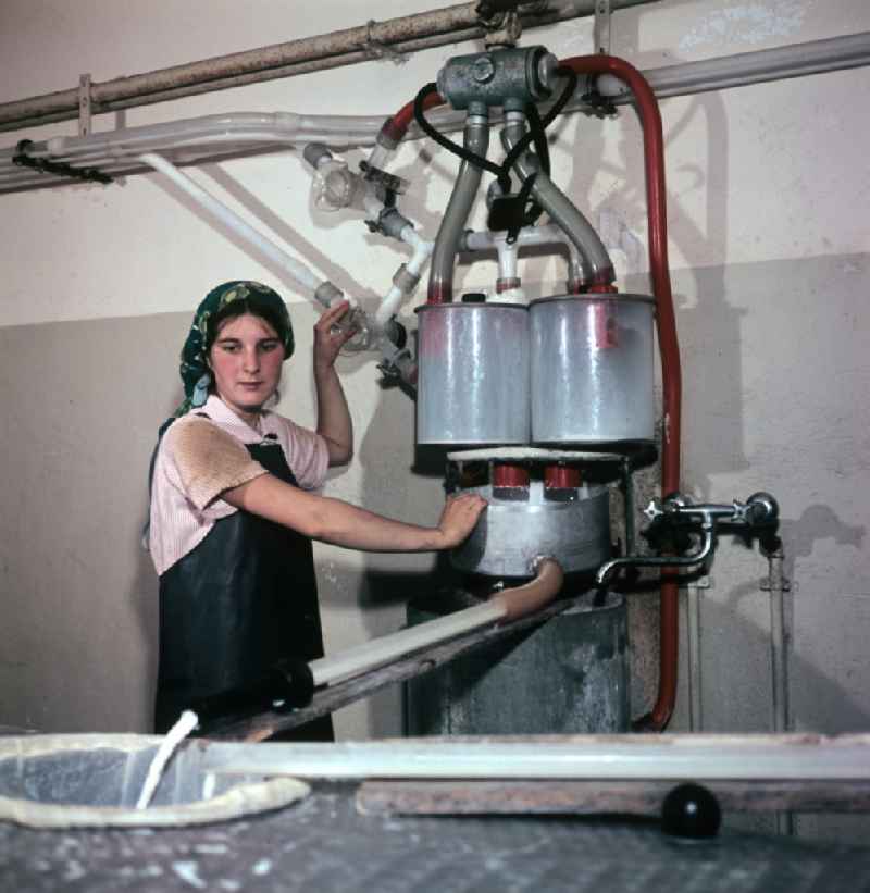 A young woman at a machine for milk production in a farm of an agricultural production cooperative on Dorfstrasse in the district of Schoenfliess in Muehlenbecker Land, Brandenburg in the territory of the former GDR, German Democratic Republic