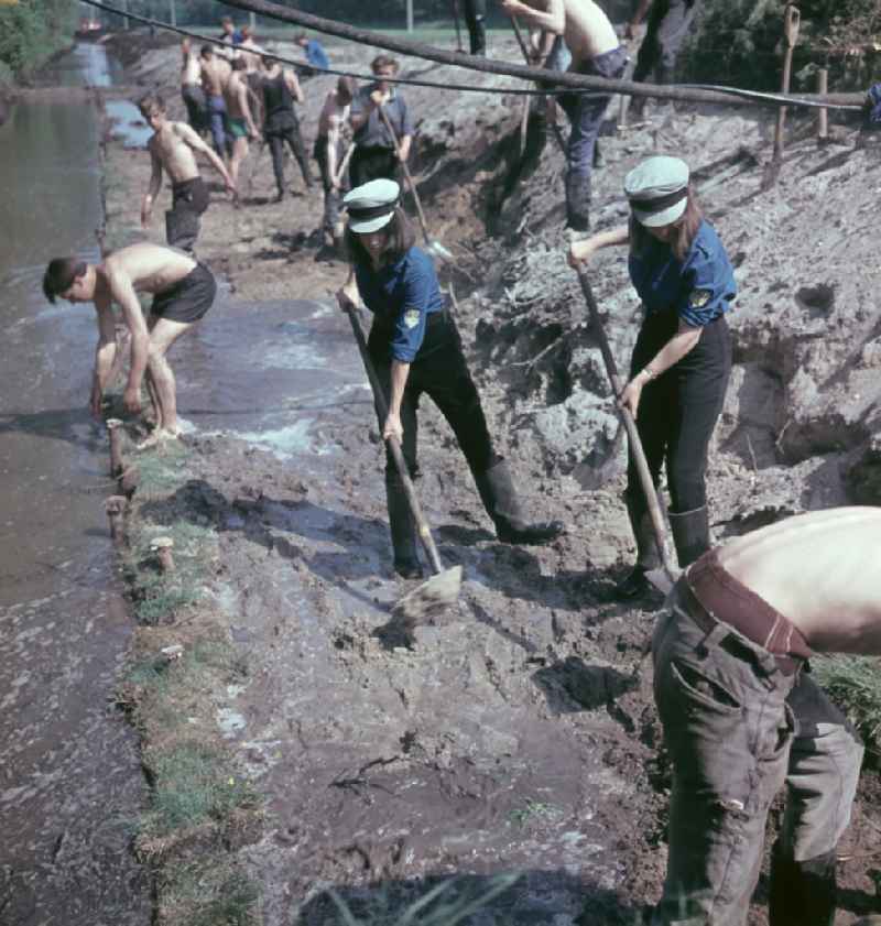 FDJ members carrying out land reclamation work to drain agricultural land in Nauen, Brandenburg in the territory of the former GDR, German Democratic Republic