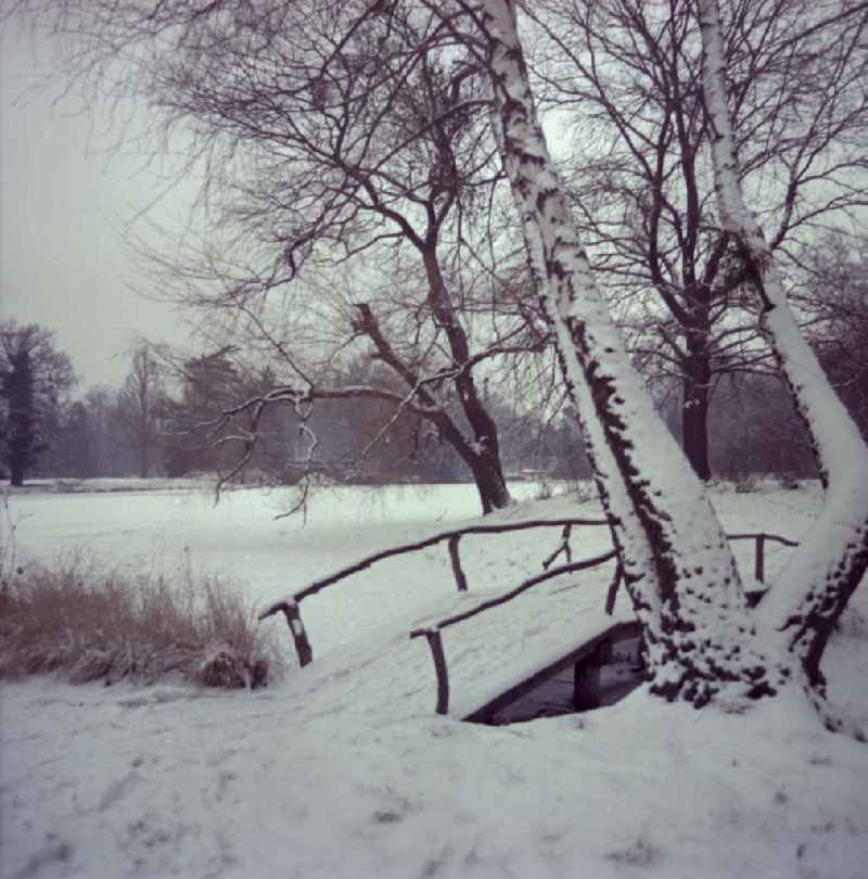 Natural idyll of the landscapewith snow-covered bridge on street Woerlitzer Park in Oranienbaum-Woerlitz, Saxony-Anhalt on the territory of the former GDR, German Democratic Republic