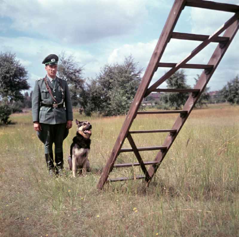 Training of the dog squad of the People's Police in the district Pretzsch (Elbe) in Pretzsch (Elbe), Saxony-Anhalt in the territory of the former GDR, German Democratic Republic