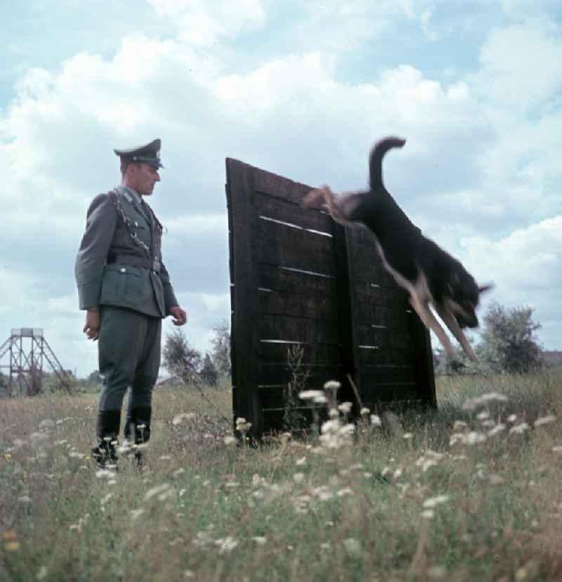 Training of the dog squad of the People's Police in the district Pretzsch (Elbe) in Pretzsch (Elbe), Saxony-Anhalt in the territory of the former GDR, German Democratic Republic