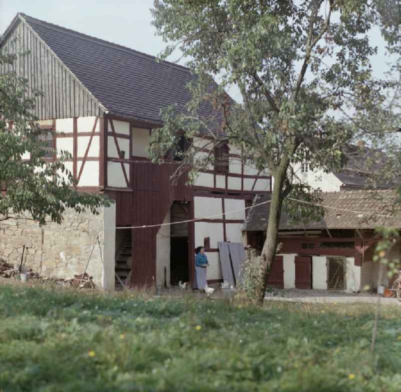 Agricultural work in a farm and farm with half-timbered house on street Hauptstrasse in Raeckelwitz, Saxony on the territory of the former GDR, German Democratic Republic