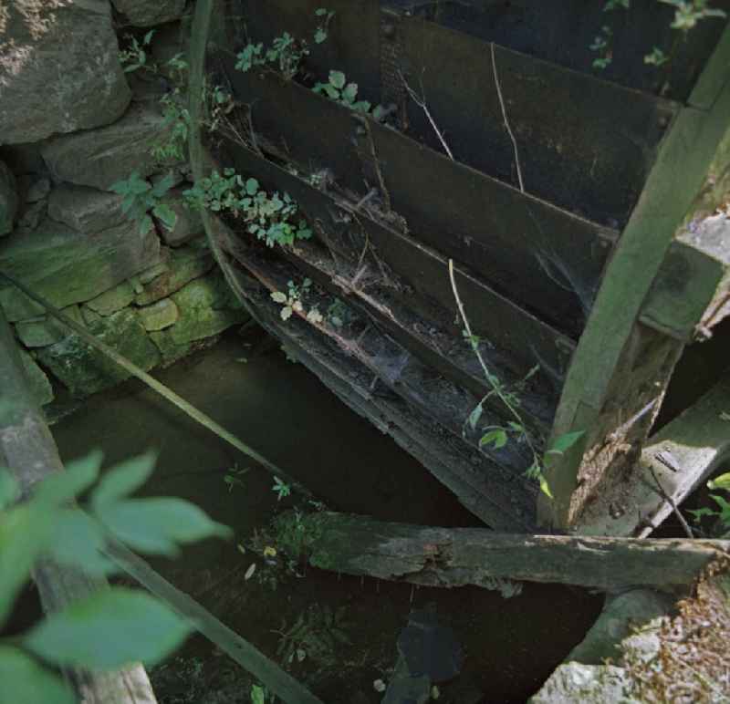 Scene photo from the film 'Portrait of a Centerpiece' paddle wheel of a water mill