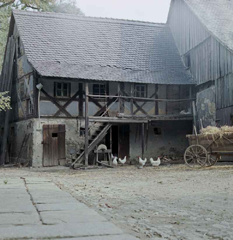 Agricultural work in a farm and farm with chickens - free-range on street Hauptstrasse in Raeckelwitz, Saxony on the territory of the former GDR, German Democratic Republic