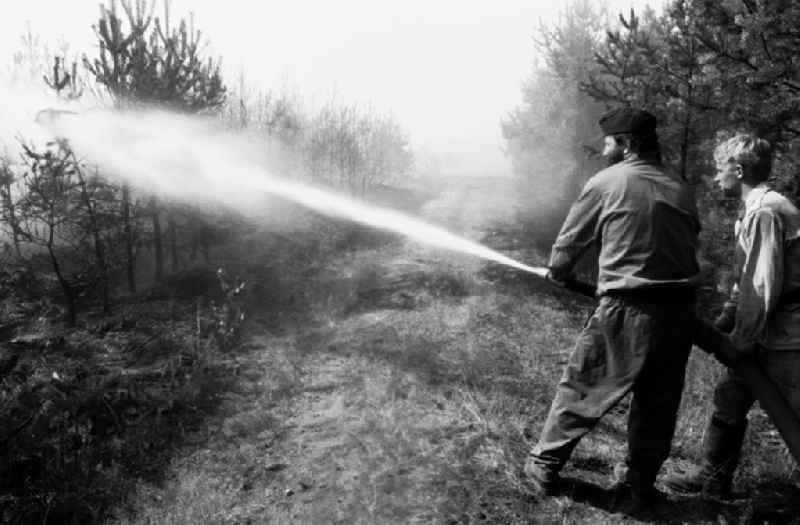 Wittenberg/Sachsen Anhalt
20 ha Waldbrand bei Wittenberg
02.08.9