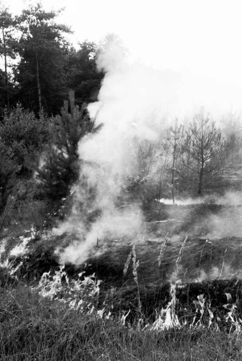 Wittenberg/Sachsen Anhalt
20 ha Waldbrand bei Wittenberg
02.08.9