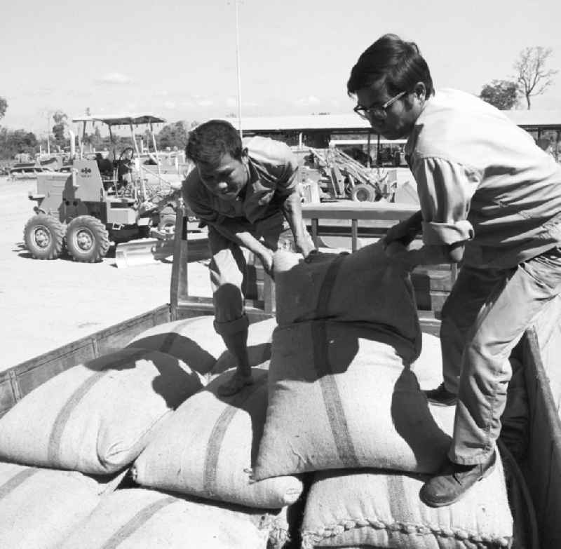 Männer beim Verladen von Reissäcken. Nach der Gründung der Demokratischen Volksrepublik Laos im Dezember 1975 wurden in der laotischen Landwirtschaft wie in anderen kommunistischen und sozialistischen Ländern erste Landwirtschaftliche Produktionsgenossenschaften LPG gegründet. Der Einsatz moderner technischer Hilfsmittel - wie die Maschinen der japanischen Firma Komatsu im Bildhintergrund - sollten zu einer Ertragserhöhung der landwirtschaftlichen Produktion beitragen.