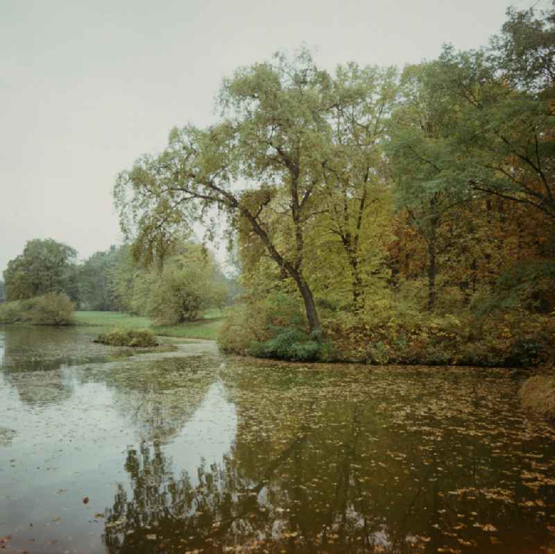 Shore area and water surface of the lake ' Kraegengraben - Woerlitzer See ' on street Kirchgasse in Woerlitz, Saxony-Anhalt on the territory of the former GDR, German Democratic Republic