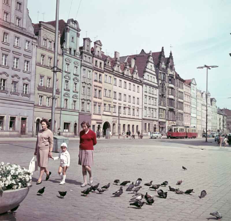 Mother with child walking past street pigeons on the market square in Wroclaw - Breslau in Poland